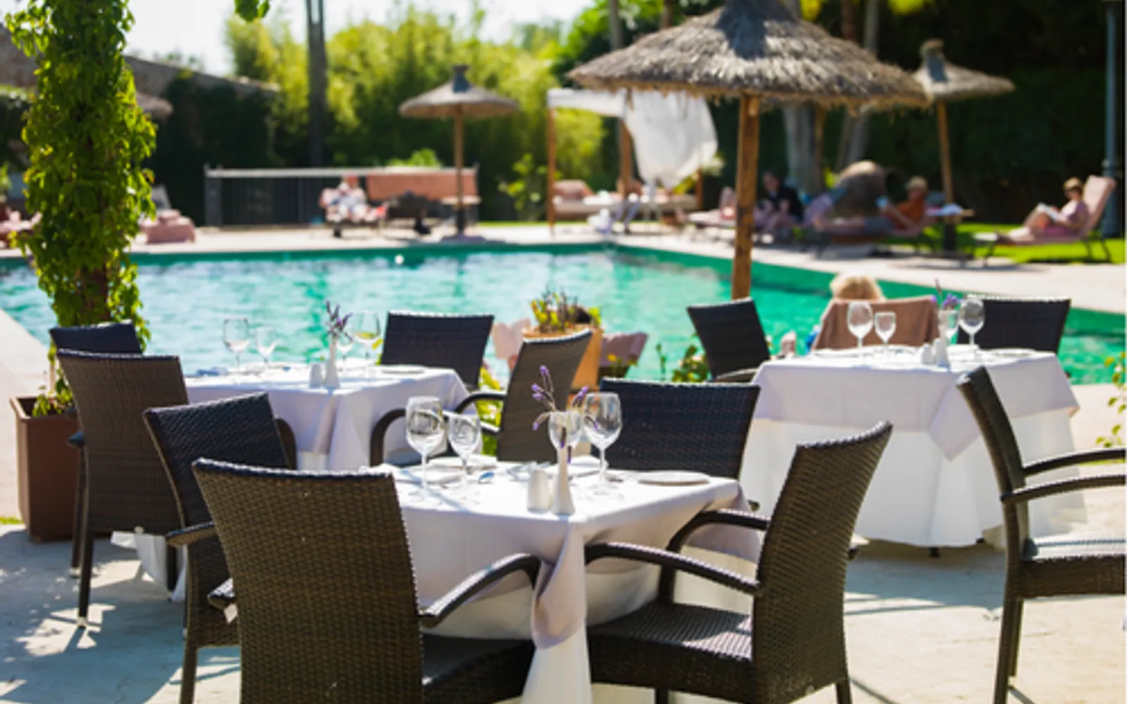 PREMIUM DAY PASS WITH POOL ACCESS + BREAKFAST + SNACK | Monday to Friday (08:00 AM – 6:00 PM)
